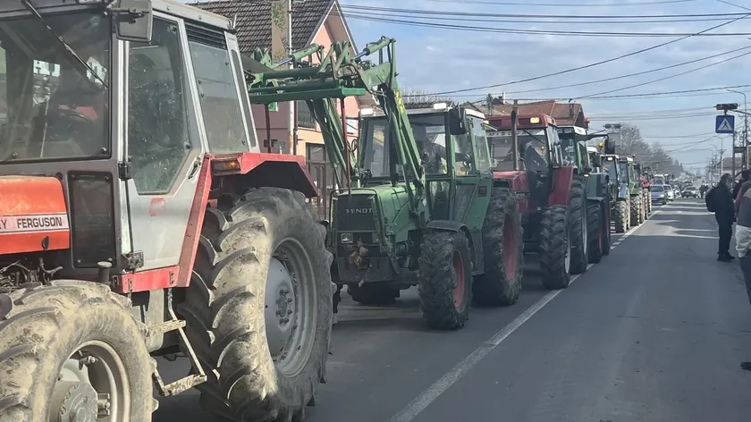 Sırbistanlı süt üreticileri Mrčajevci'de yol kapatma eylemini soğuk havaya rağmen sürdürüyor.