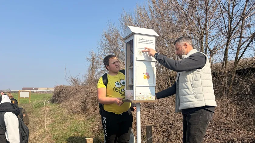 Sırbistan Tarım Okulları Tozlaşmacı Arılar İçin Yeni Oteller Açtı