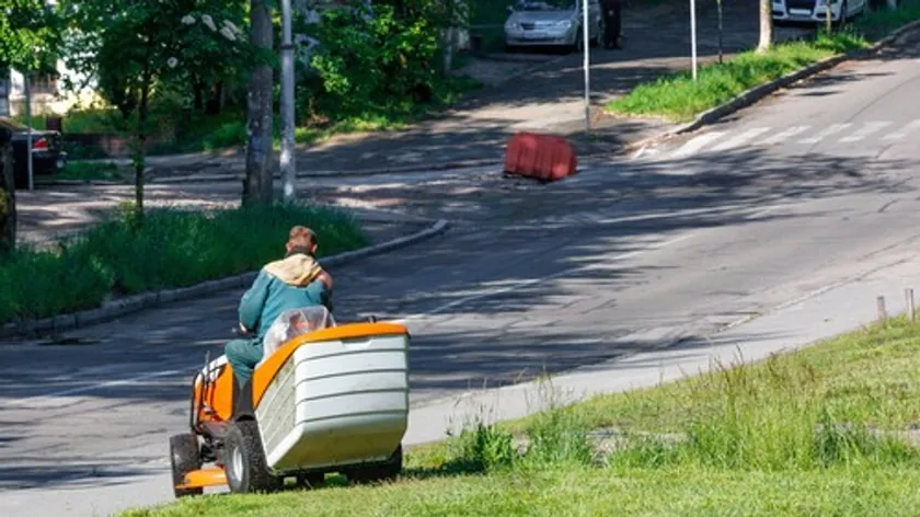 Almanya'da Bir Belediye İşçisi Ot Biçerken Değeri Binlerce Euro Olan Altın Külçeleri Buldu