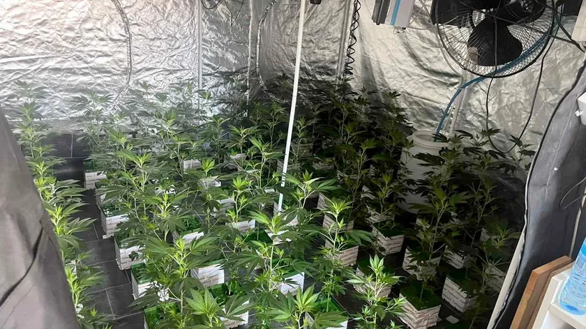 Belgrad'da polis büyük uyuşturucu operasyonu gerçekleştirdi, iki laboratuvar ortaya çıkarıldı