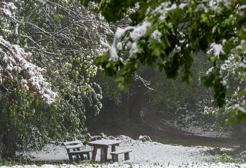 Sırbistan'da bugün havanın kapalı ve kuru, yer yer donlu ve sisli olacağı bildirildi