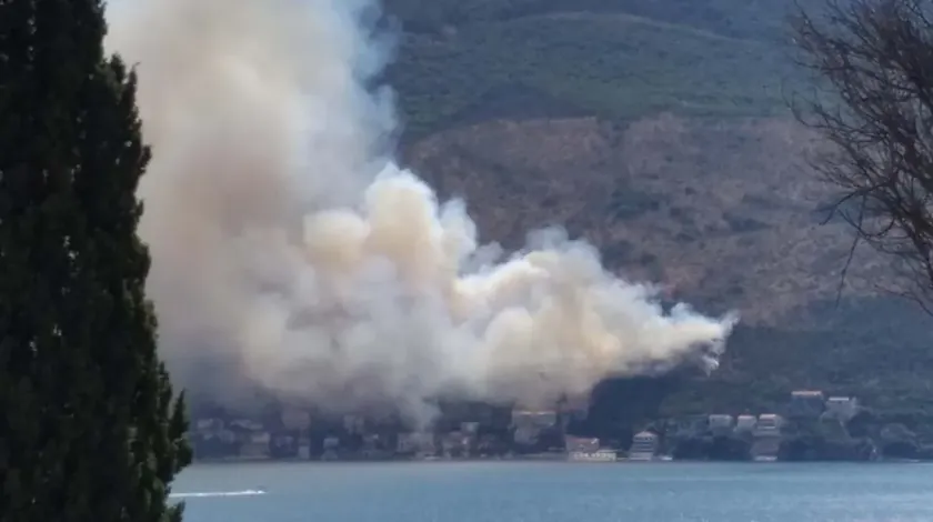 Herceg Novi yakınlarında yangın tekrar çıktı Rüzgar yangını yayıyor.