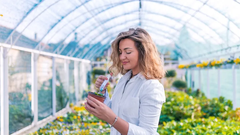 Sırbistan'da Bahar Ekimi: Yüksek Verim İçin Fidan ve Tohum Seçimi Tavsiyeleri