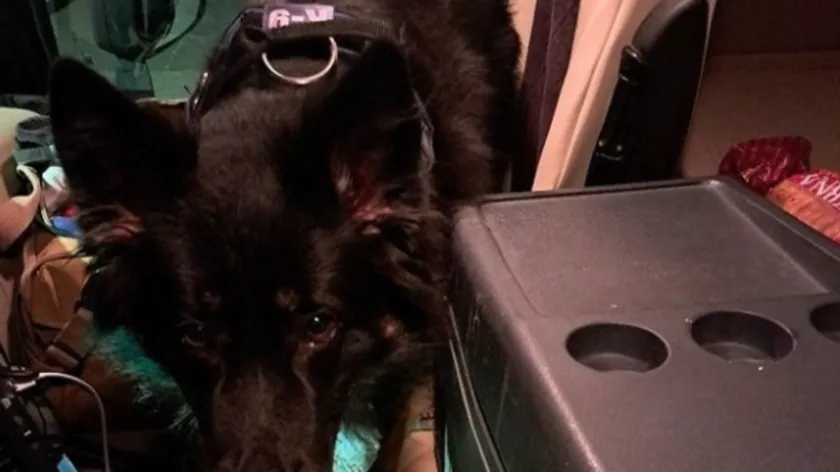 Sırbistan Vatandaşı Bajakovo Sınır Kapısı'nda 12 Bin Avroyu Kaçırırken Yakalandı