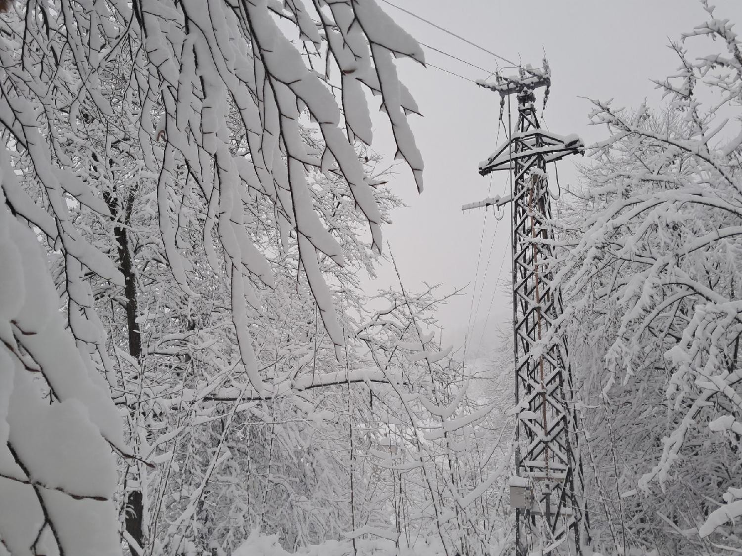 EDS: Ekipler Valjevo ve Loznica bölgesinde zorlu koşullarda gece gündüz çalışıyor