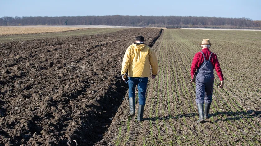 Sırbistan Voyvodina'da Çiftçilere Yönelik 14 Milyon Dinarlık Hibe Desteği Duyuruldu