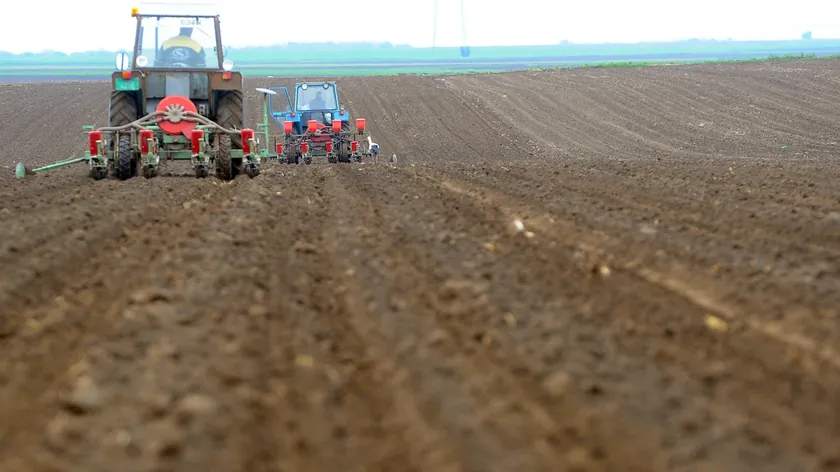 Sırbistan ve Cezayir arasında vergi, tarım, turizm ve telekomünikasyon alanlarında beş anlaşma imzalandı