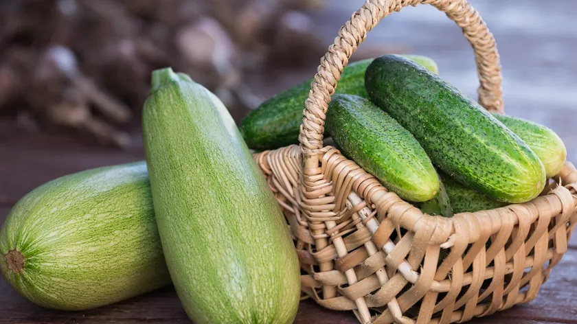 Tikvice veya kabak Hangi yeşil sebze daha sağlıklı?