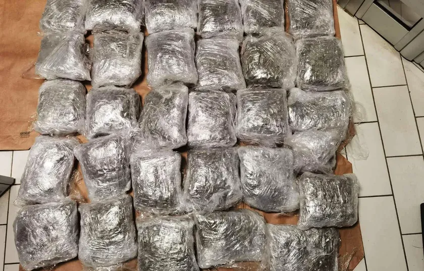 **Kuzey Makedonya'da yasa dışı esrar üretimine büyük operasyon, tonlarca uyuşturucu bekleniyor**