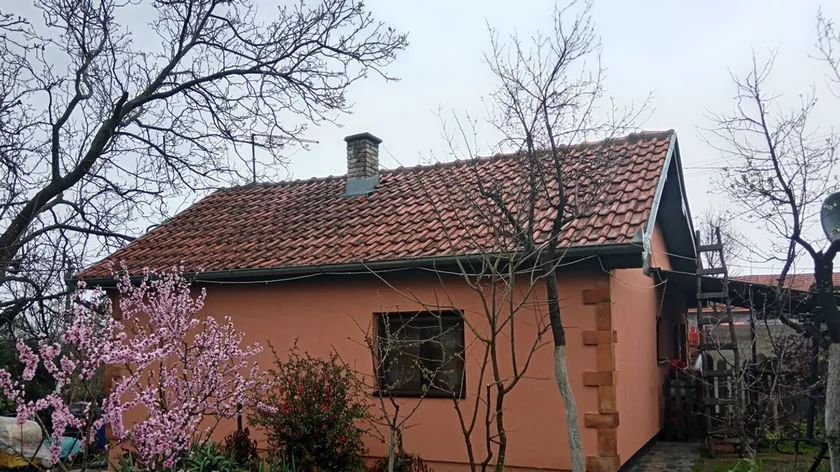 Sırbistan'da Satılık Ev ve Bahçe, Belgrad Yakınlarında Yatırım Fırsatı Sunuyor