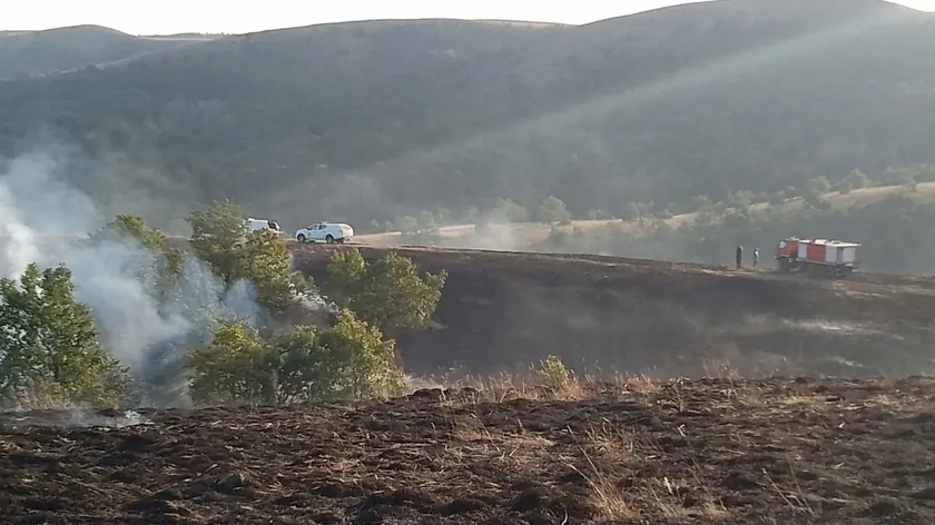 Ravnoj Gori'de çıkan büyük yangın Rus Iljuşin uçaklarıyla söndürüldü.