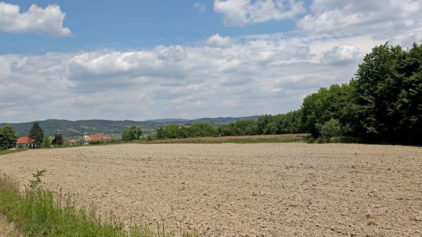 Sırbistan'da Tarım Arazileri Fiyatları Yükselişte Voyvodina'da Južnobački Okrug Zirvede