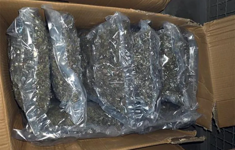 Polis, Belgrad'da 100 kilogram marijuana ele geçirdi, bir kişi tutuklandı
