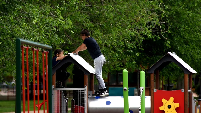 Sırbistan Novi Sad'da Çocuklar Çatılarda Yürüyor, Aileler Uyarıldı