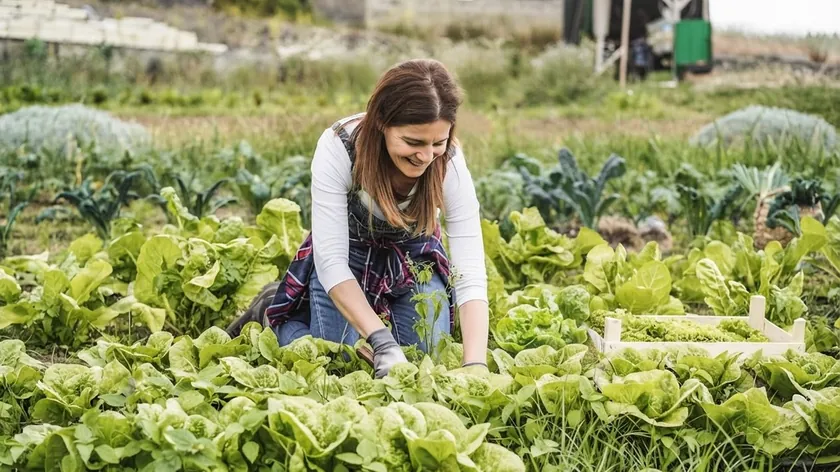 Organik üretim, suyun ve doğanın dengesini koruyan bir yöntemdir.