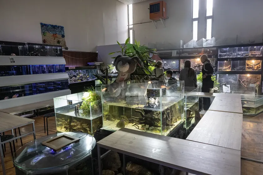 Belgrad'da mevcut akvaryum kapanma eşiğindeyken yeni proje protesto ediliyor.