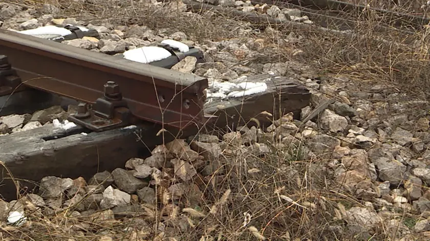 Belgrad yakınlarında tren kazası üç çocuk annesi Sanja'nın ölümüne neden oldu.