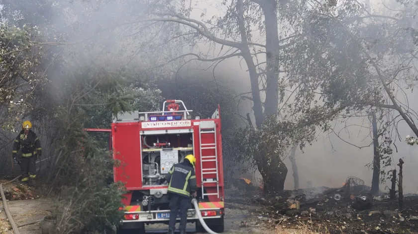 Sırbistan'ın Sremčica kasabasında büyük bir yangın çıktı.