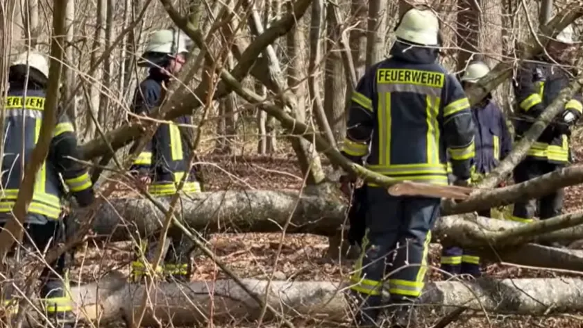 Nemačka'da Paskalya'da Devrilen Ağaç Anne ve Bebek Dahil Üç Can Aldı