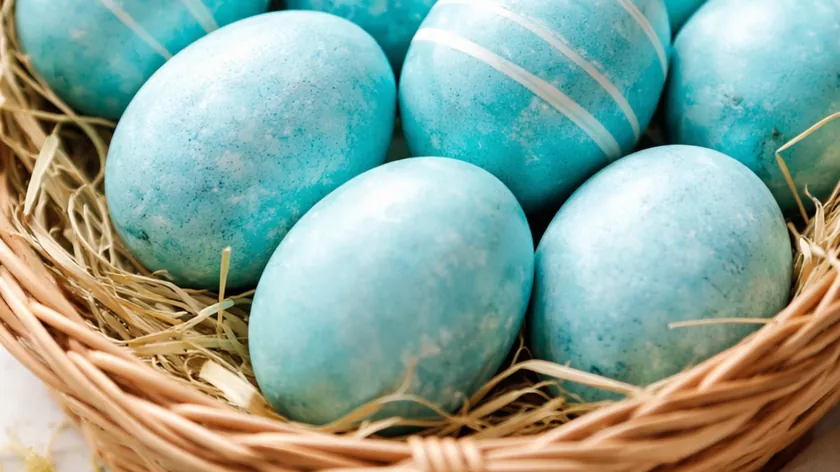 Sırbistan'da Paskalya Yumurtaları İçin Mor Lahana İle Doğal Turkuaz Renk Elde Ediliyor