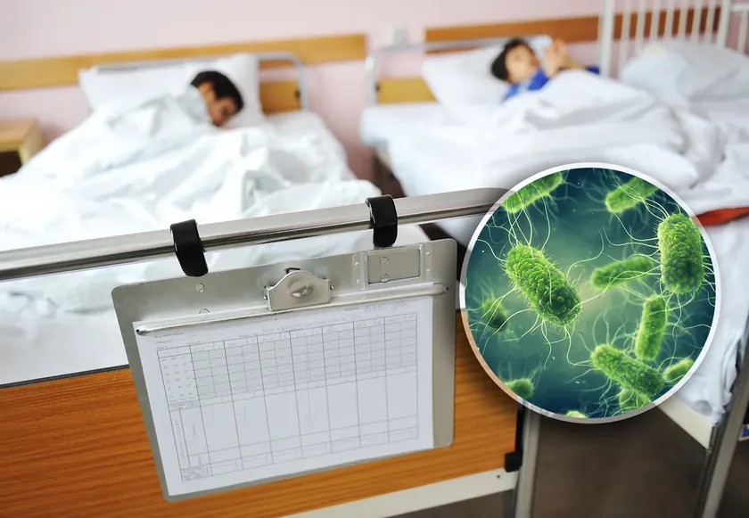 Alarm Avrupa'da 300'den fazla kişi salmonella enfeksiyonuyla hastalandı, büyük marketlerden yumurta geri çekildi