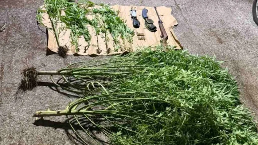 Nikšić'te bir evde marihuana yetiştirme tespitiyle baba ve oğlu tutuklandı.