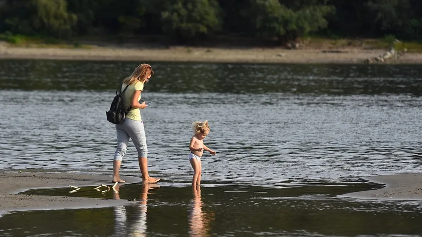 Dunav'ın Novi Sad'daki seviyesi -19 cm düştü Bu ne kadar tehlikeli?