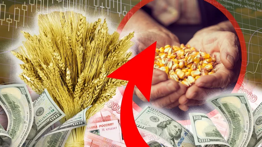 Dünya genelinde gıda fiyatları Temmuz ayında yükseldi ve Ocak 2023'ten bu yana en yüksek seviyeye ulaştı.