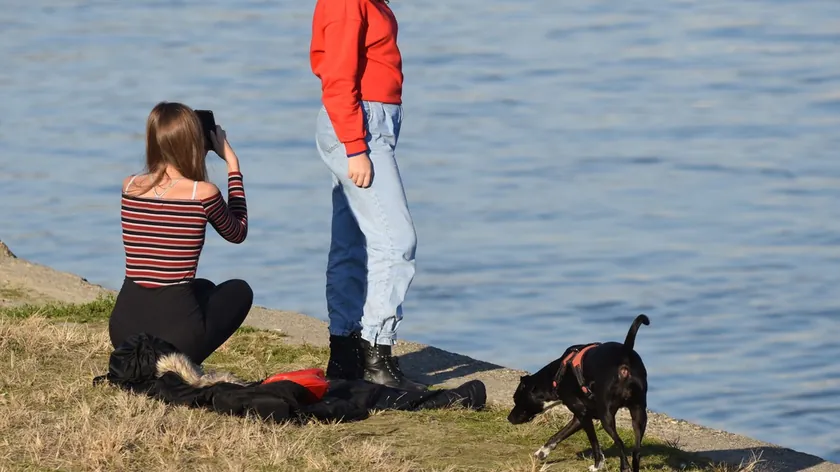 Şvajcar'ın Kjaso kasabasında köpek sahiplerine yeni bir yasa uygulanıyor.