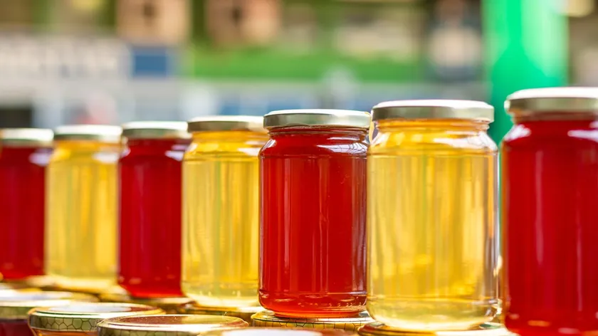 Sırbistan'da bal piyasasında talep artarken kalite ve sahtecilik endişeleri yükseldi