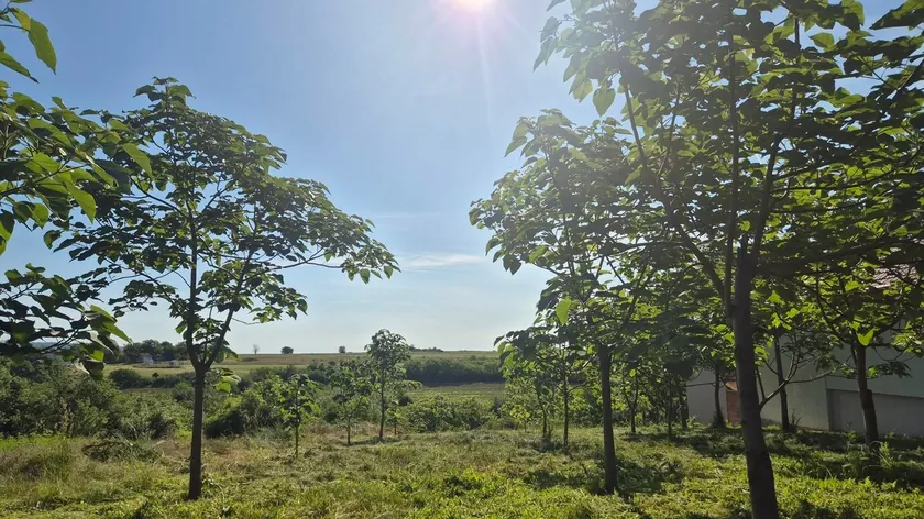 Fruška Gori'nde bir inşaat alanı 21.000 euroya satılıyor Hafta sonu evi, bungalov veya etno köy için uygun (FOTO)