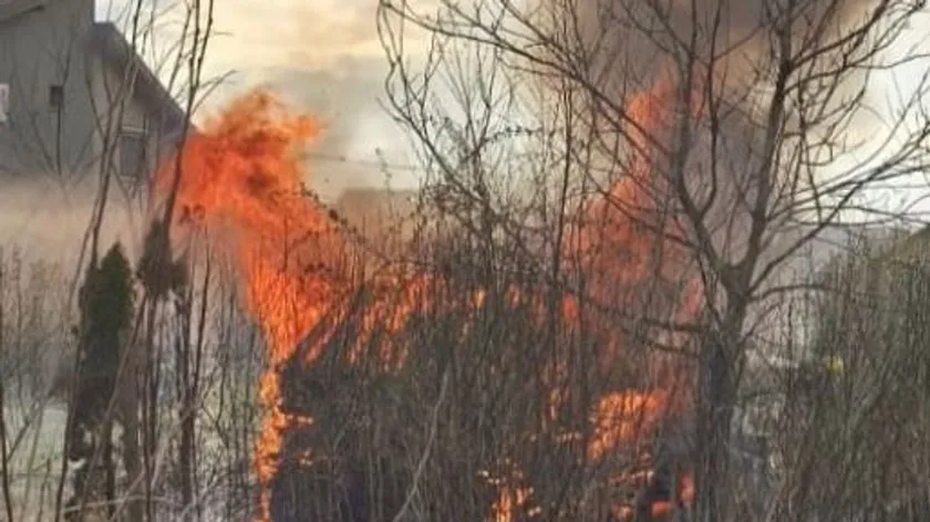 Sırbistan'ın Novi Sad Kentinde Düşük Bitki Örtüsü Yangını Odunluk Kulübeye Sıçradı