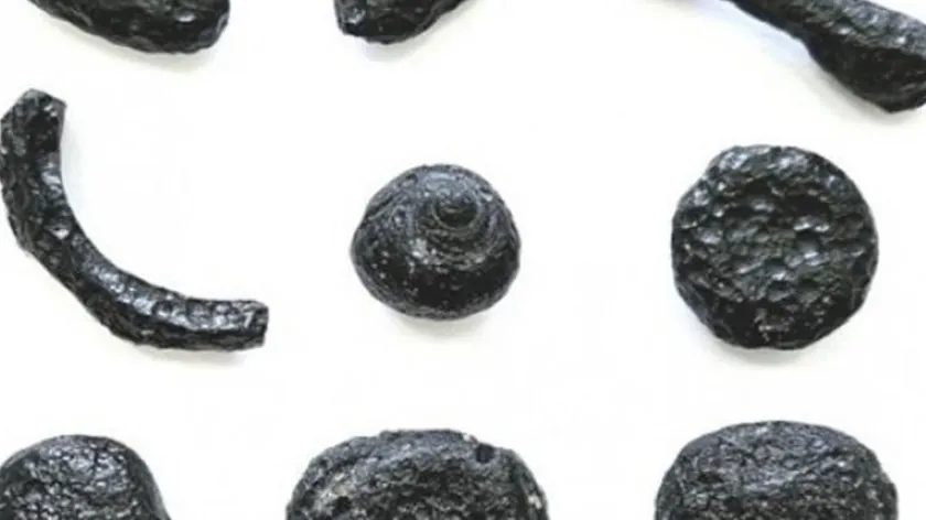 Brezilya'da bilim insanları 6 milyon yıllık nadir bir malzemeyi keşfettiğini bildirdi