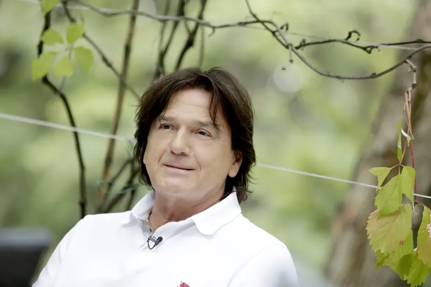 Zdravko Čolić'in Avrupa Pazarına Girişi