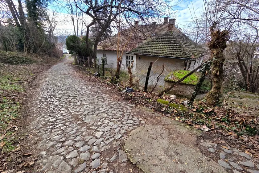 Sırpların unutulmaz kahramanı Archibald Reiss’ın evi bakımsızlıktan dökülüyor!