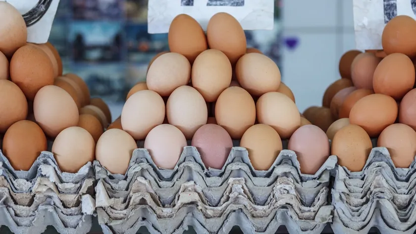 Sırbistan'da Pazarlarda Nasıl Doğal Yumurtaları Tanırabilirsiniz?