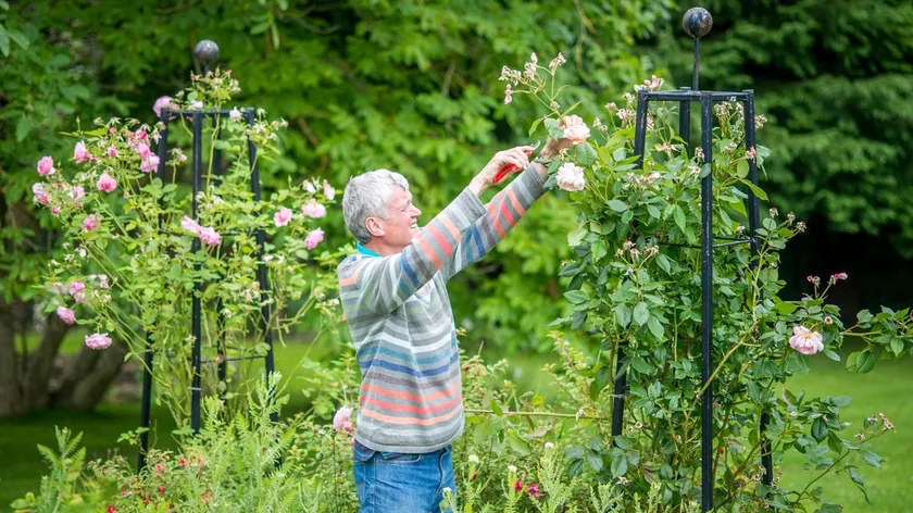 Almanya'da Paskalya Tatilinde Gürültülü Bahçe İşleri Yasaklandı, Yüksek Cezalar Bildirildi