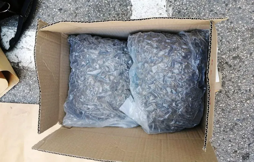 Sırbistan Surçin'de 100 kilogramdan fazla esrar ele geçirildi çok sayıda kişi gözaltına alındı.