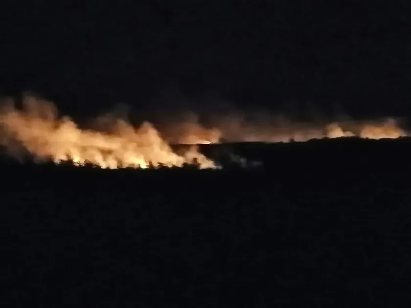 Kladovo'da yangın tehlikeli bir hale geldi Yangın güneş enerjisi santrali "Solaris"e yaklaştı.