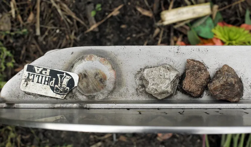 Belgrad'da La Bamba Coşkusu ve Arkasındaki Trajik Hikaye Ortaya Çıktı