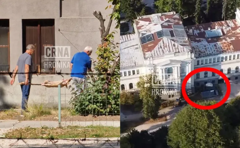 Sırbistan'da bir müze yakınında domuz pişirme olayı büyük tepki çekti.