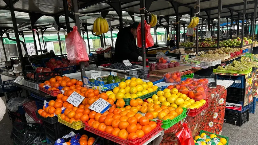 Sırbistan'da Yeni Meyve Sezonu Başlarken Fiyatlar ve Verim Merak Konusu