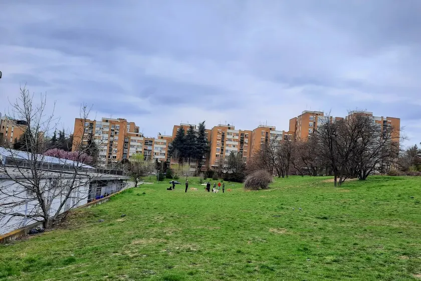 Sırbistan Belgrad'daki Mirijevo sakinleri ormanlarını kurtarmak için imza topluyor