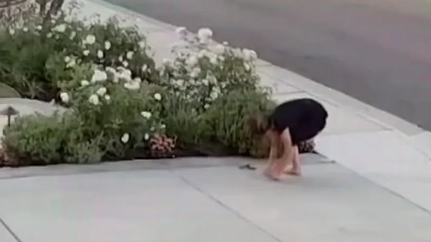 Kad Kaliforniya'da bir kadın zmiye tarafından zehirlendi.