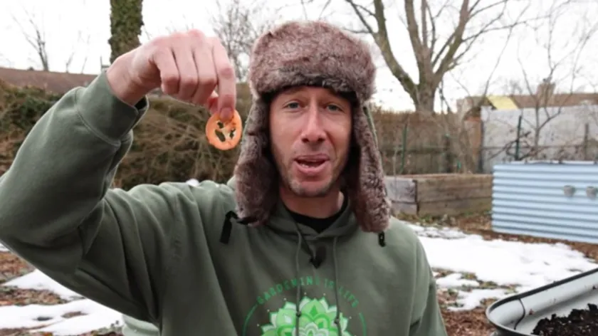 Amerikalı YouTuber Hamburgerden Çıkardığı Tohumlarla Domates Yetiştirdi Beklenenin Üzerinde Verim Aldı