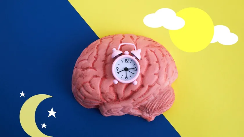 Sirkadiyen Ritim Vücudun İç Saati: Sağlık ve Enerji Üzerindeki Etkileri Açıklandı