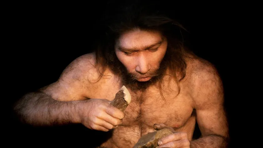 Sırbistan Avrupa Neandertallerinin Yok Oluş Gizemini Aydınlatan Araştırmaya Katıldı