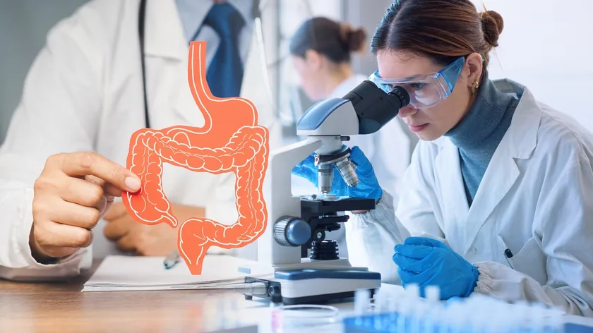 Yeni Çalışma Parkinson Hastalığının İlk Belirtilerinin Bağırsaklarda Görüldüğünü Ortaya Koydu