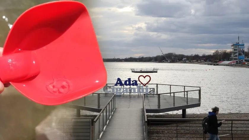Ada Ciganlija'da küçük denizanası görülmüş.