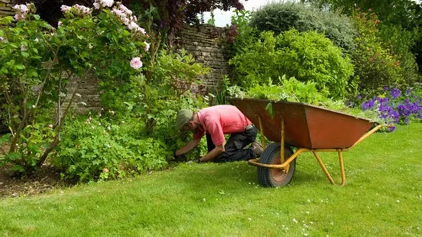 Sırbistan'dan Bahçıvanlık Uzmanları Bitkileri Kuşlardan Koruma Yöntemini Açıkladı